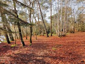 74-IMG_20200118_110321