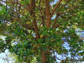 048-IMG_20200531_102512