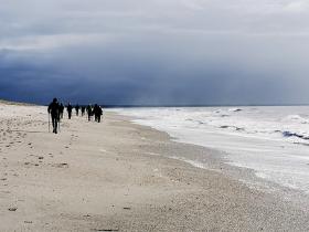 66-IMG_20200301_112600