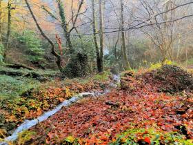 IMG_20201217_100220
